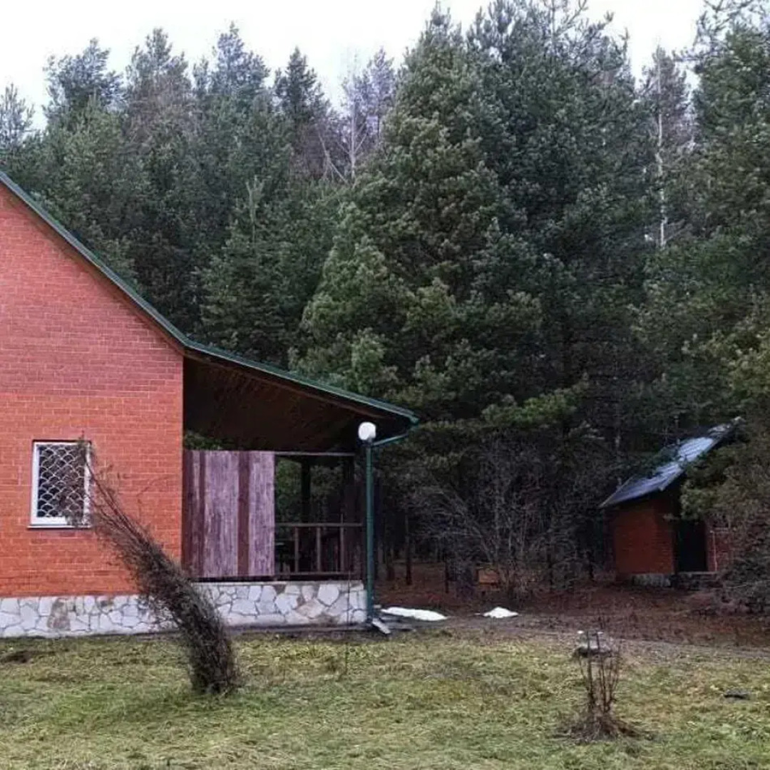 Двухэтажный дом с баней Рябинушка 3