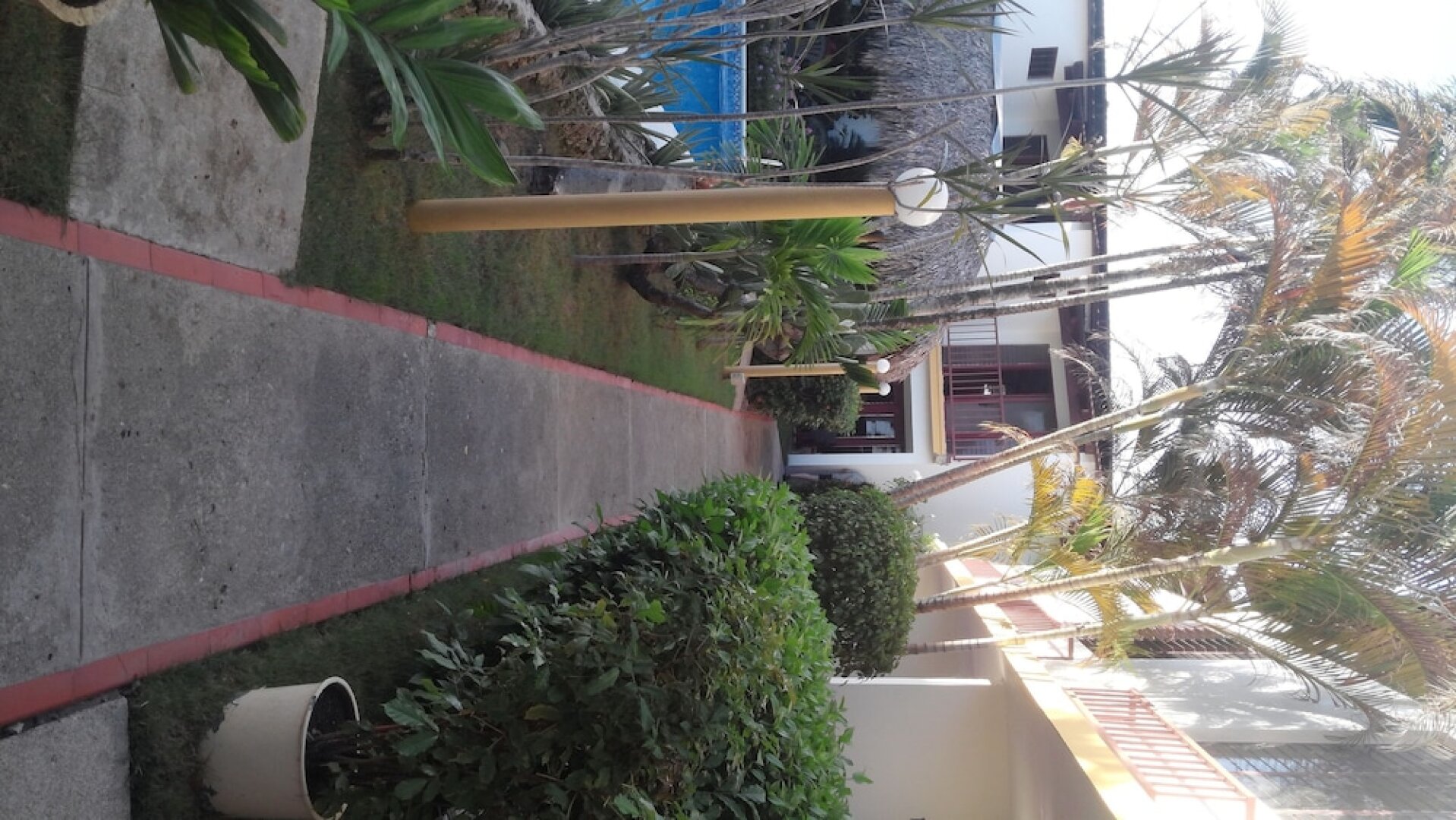 Condos Dominicanos 1 Bed Apartments