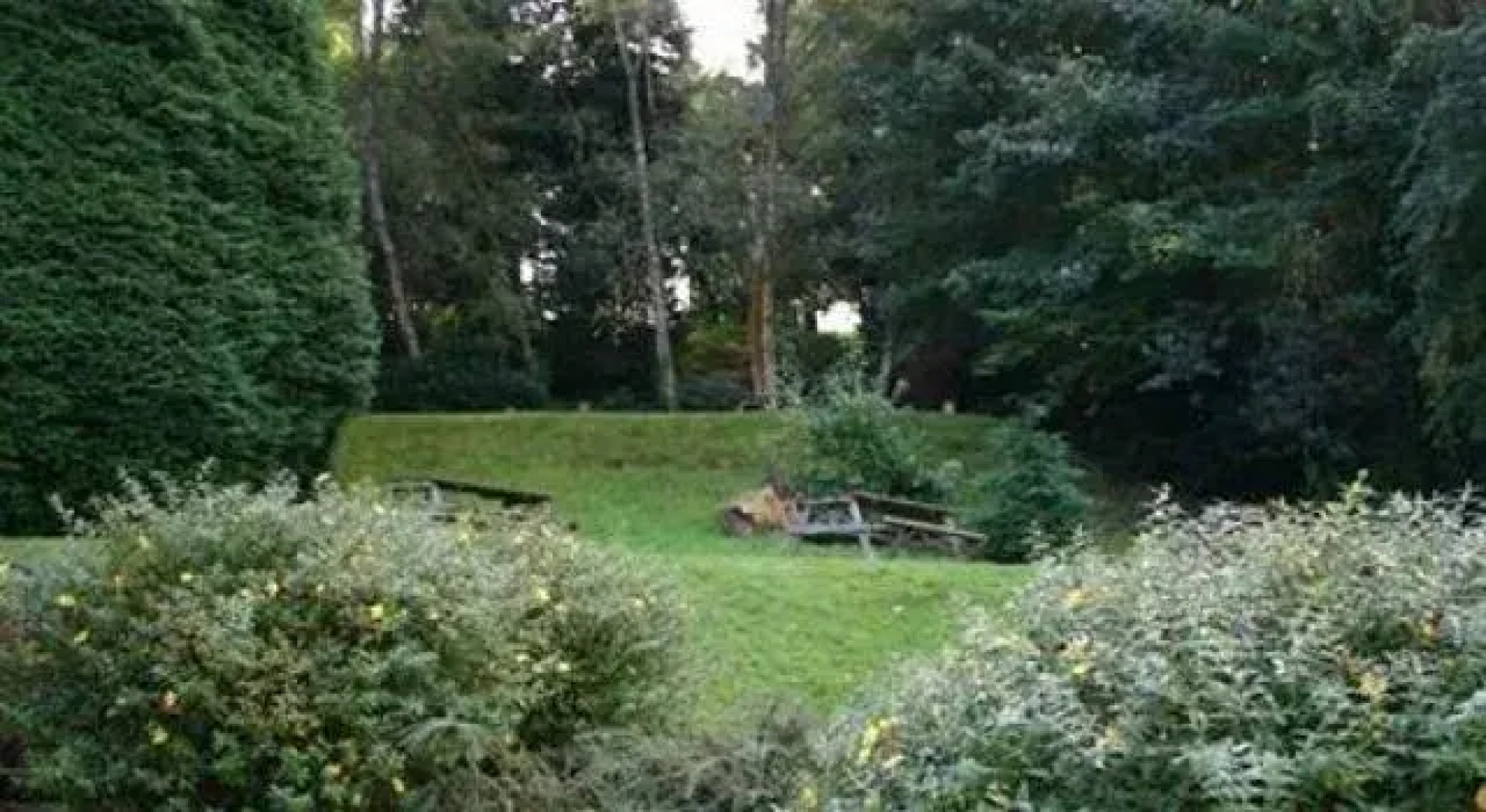 Harper's Steakhouse with Rooms, Haslemere