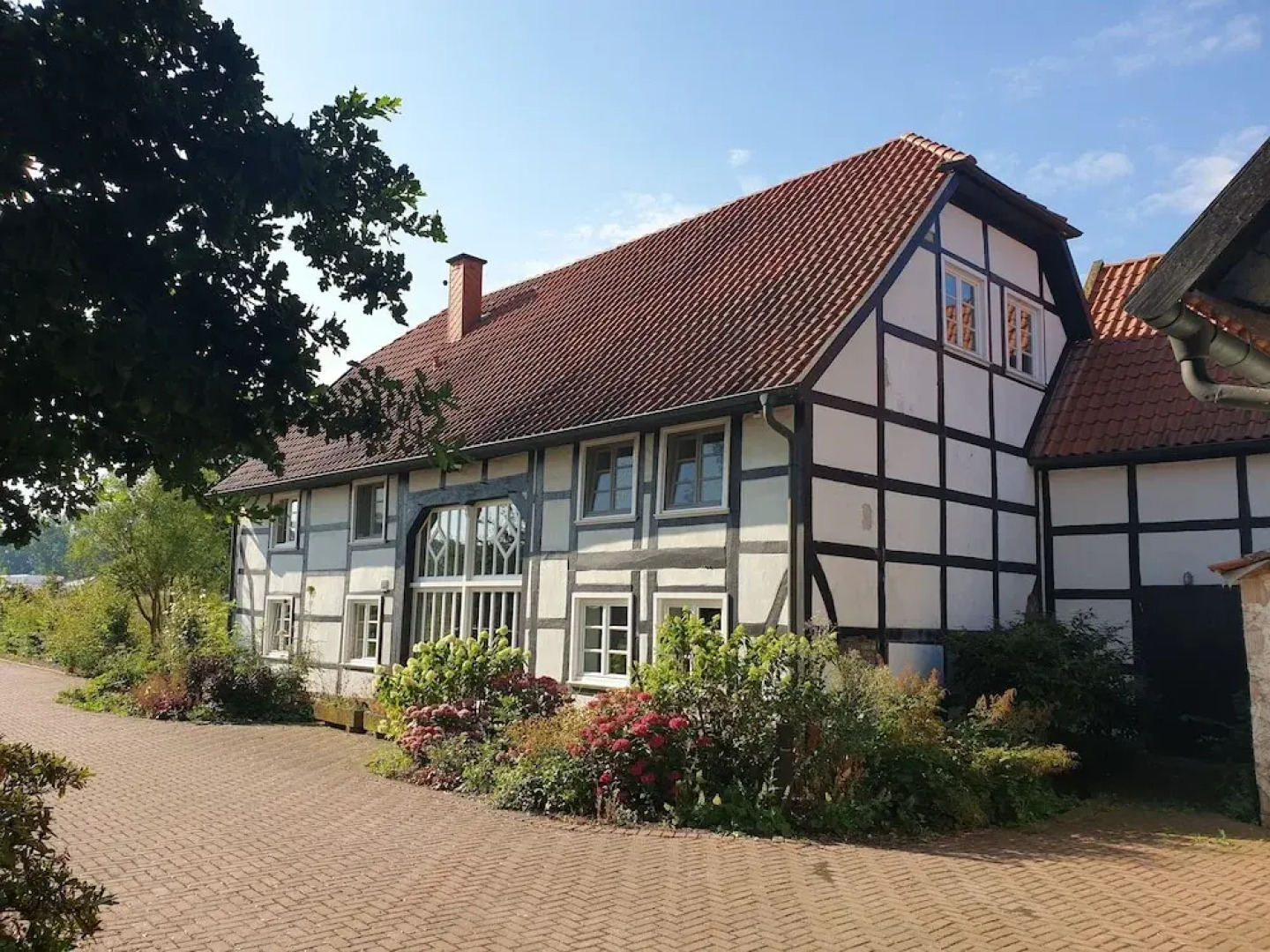 La Alqueria de las Alpacas - Alpakas am Ardey