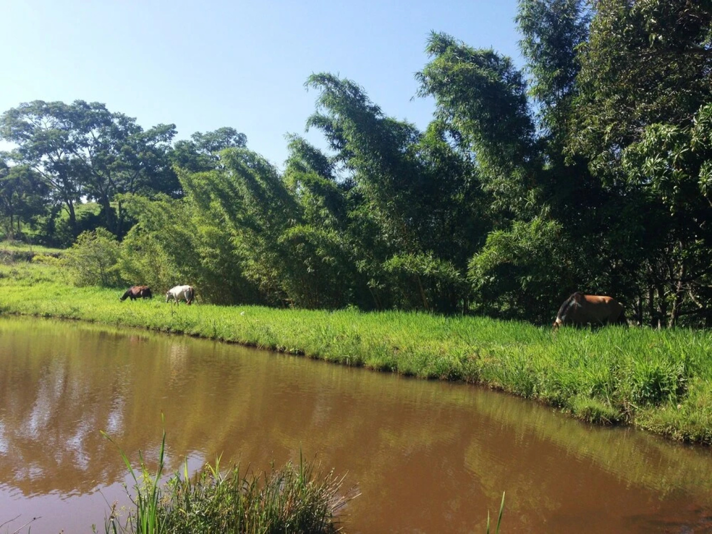 Hotel Fazenda Aguas VIvas