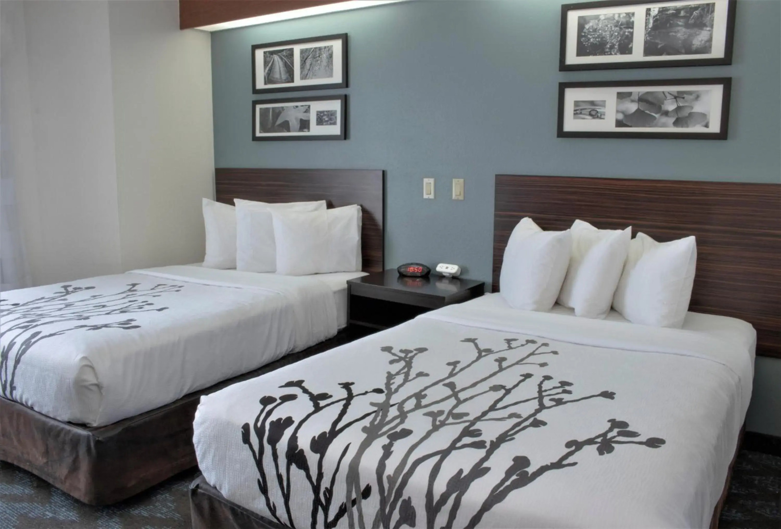 Sleep Inn Lake Wright - Norfolk Airport