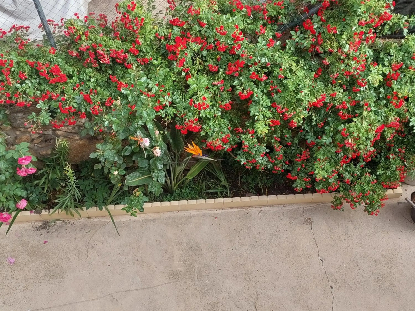 Apartamentos La Chaparrina del Jerte