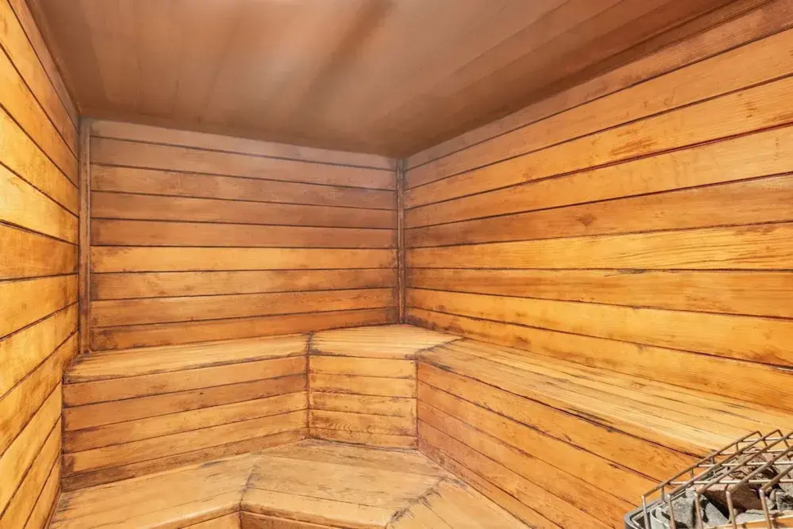 Npi146-the Lazy Turtle