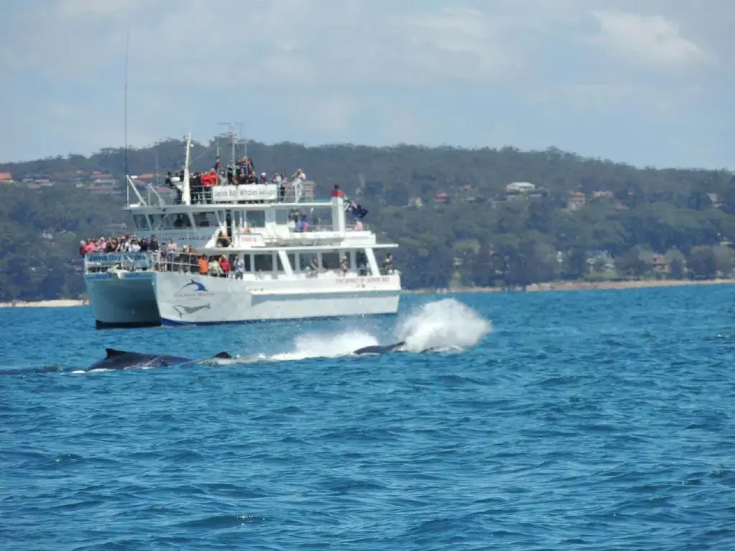 Paradise Bungalow Waterfront