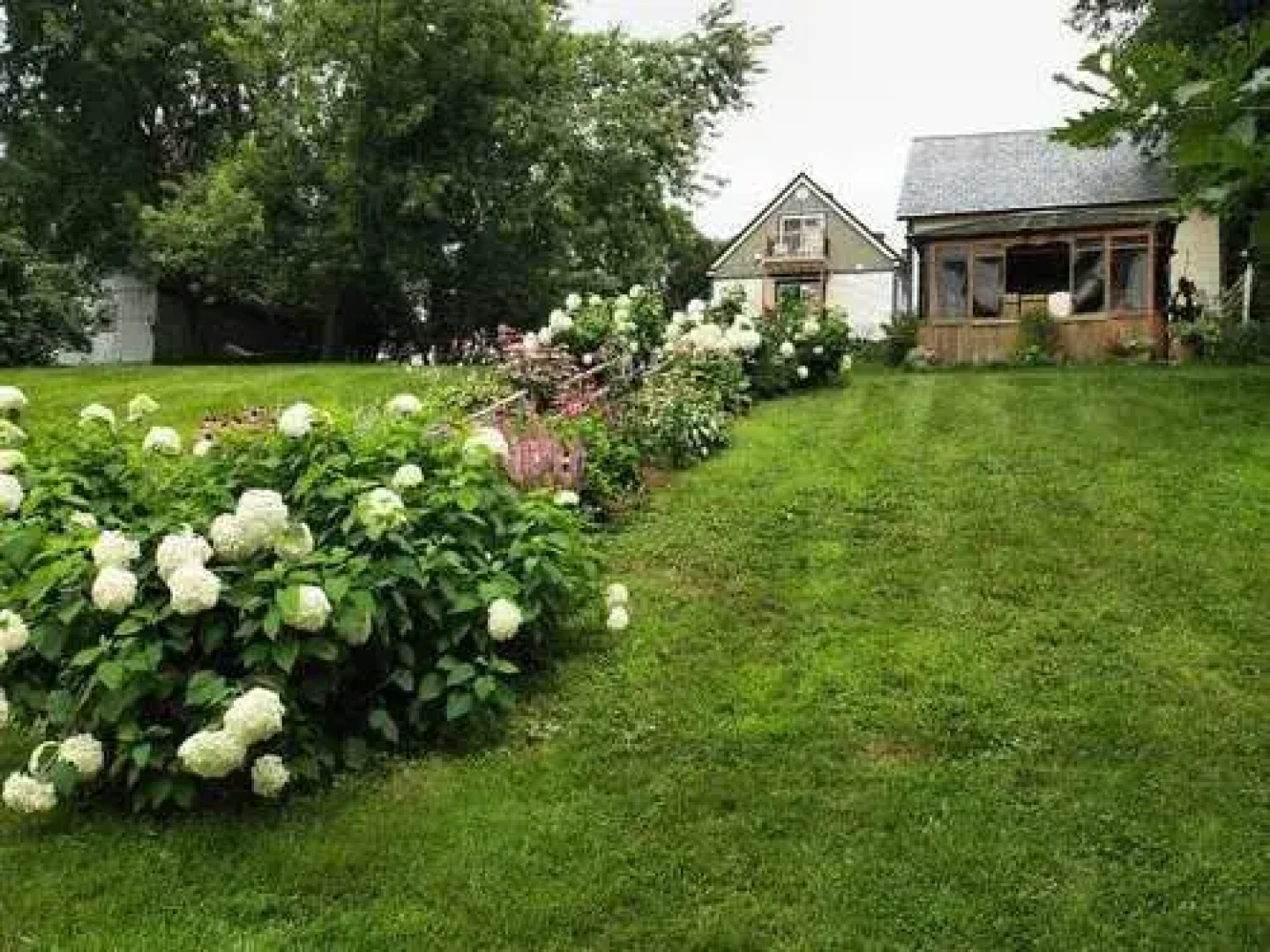 Les Caprices De Victoria