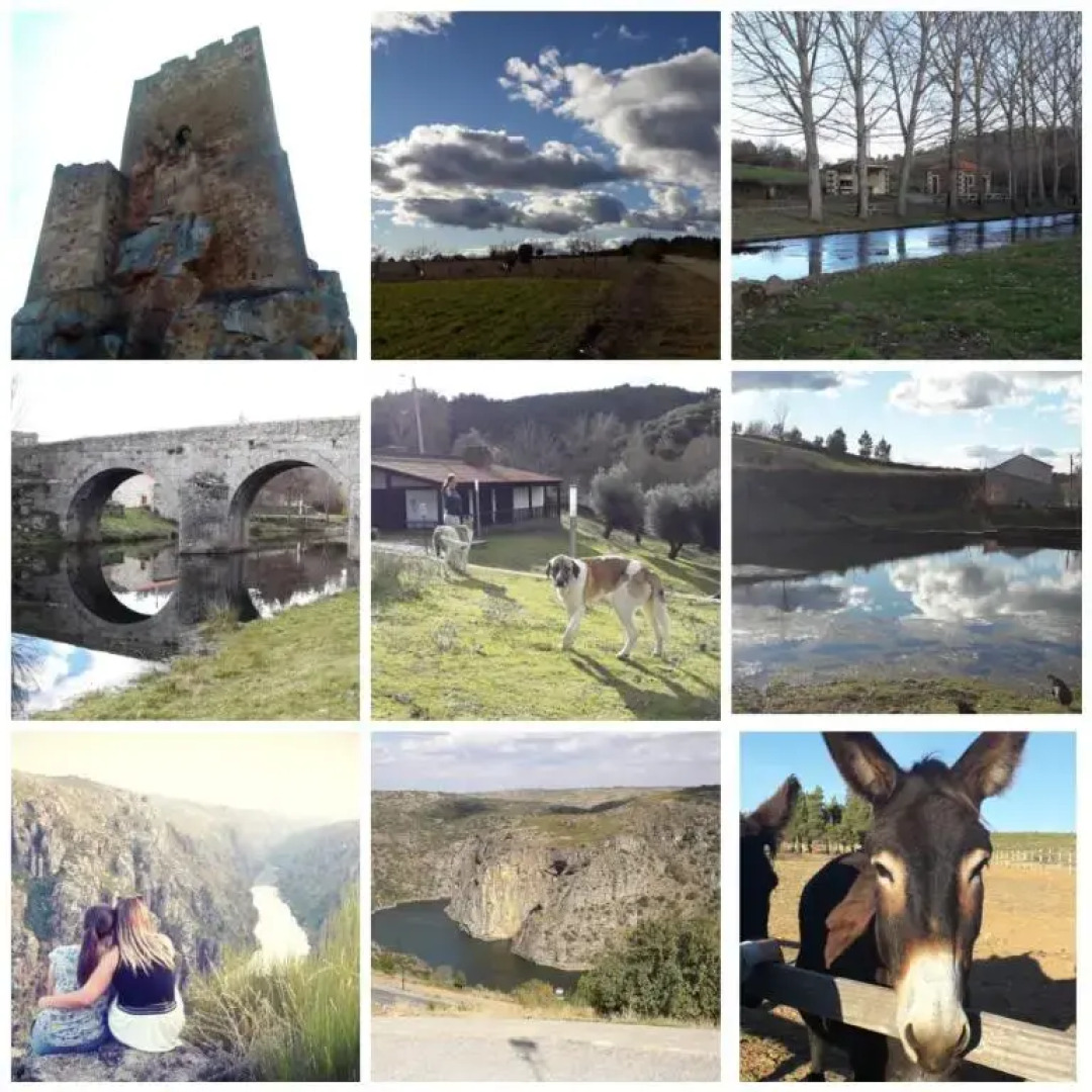 Casa Dos Pombais de Caçarelhos Rural