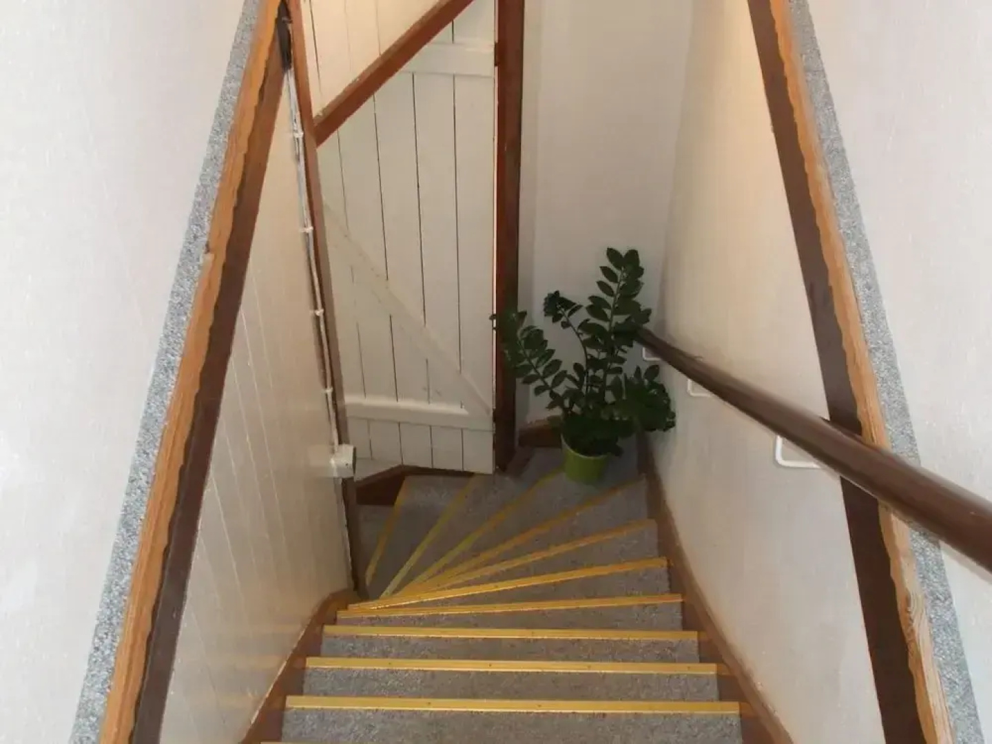 Apartment in Bad Doberan mit Garten