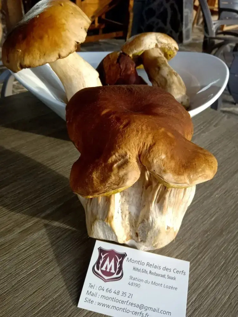 Hôtel Restaurant Le Montlo 48