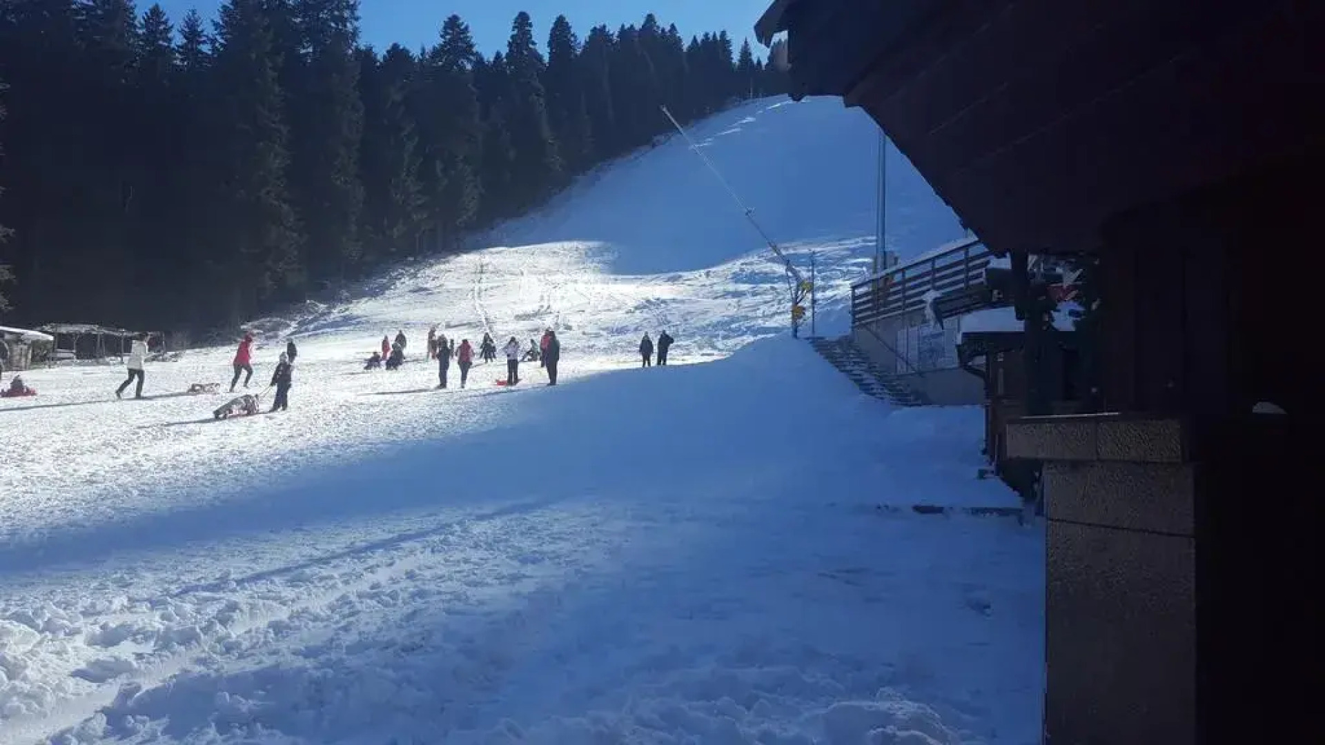 Family Hotel Forest Star