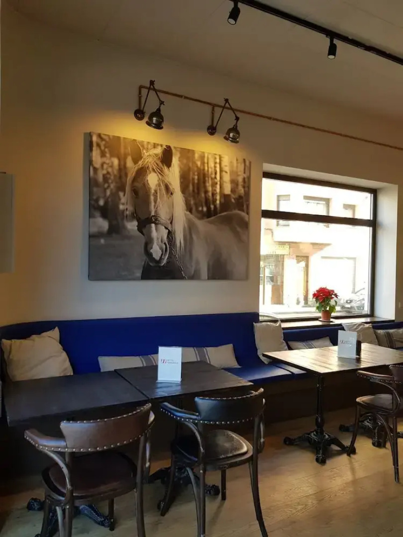 Отель Terminus Puigcerdà