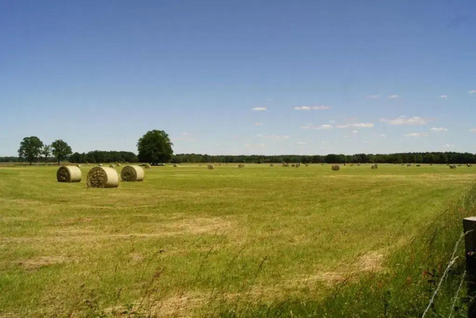Landhotel Zum Krug Im Grunen Kranze