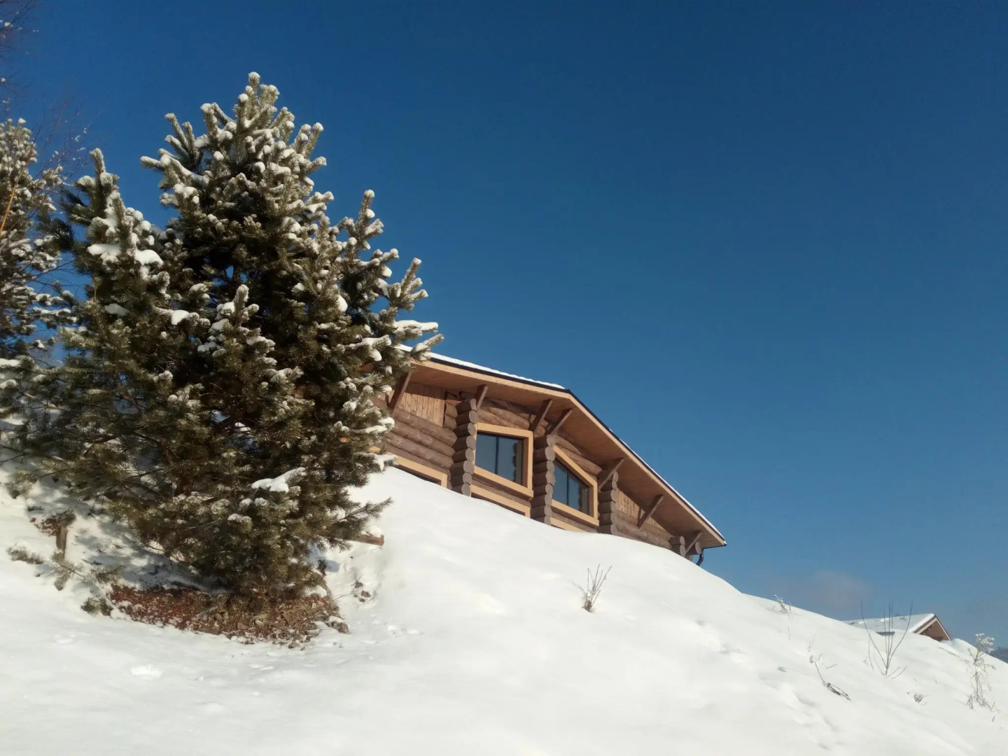 Гостевой дом Шале Телецкое