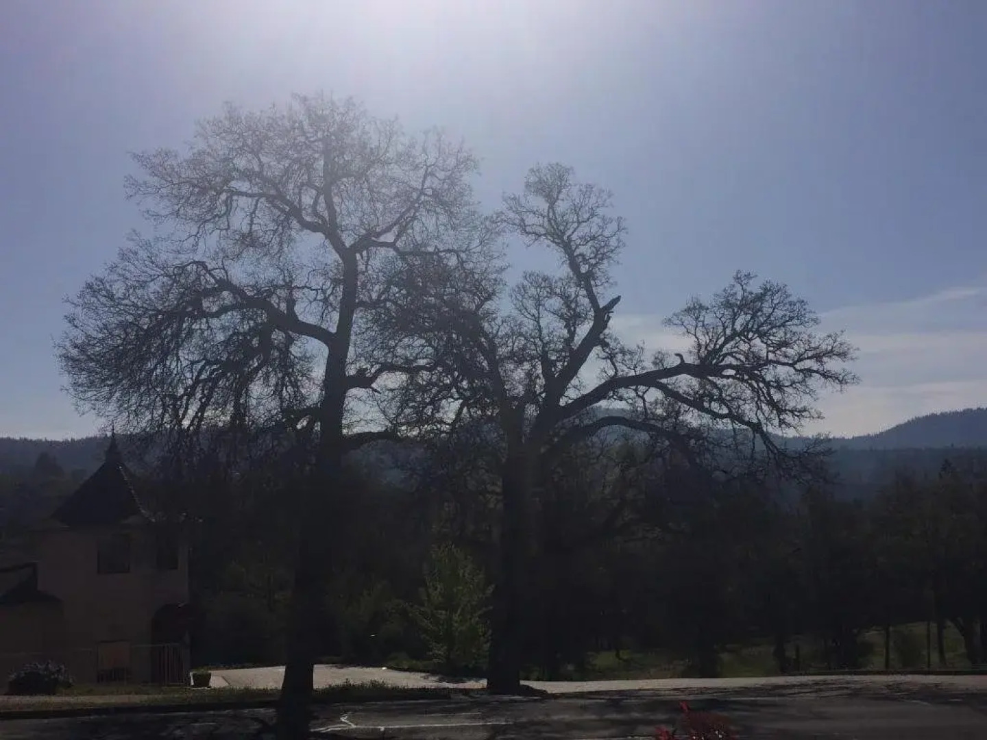 The Fishermens Oasis