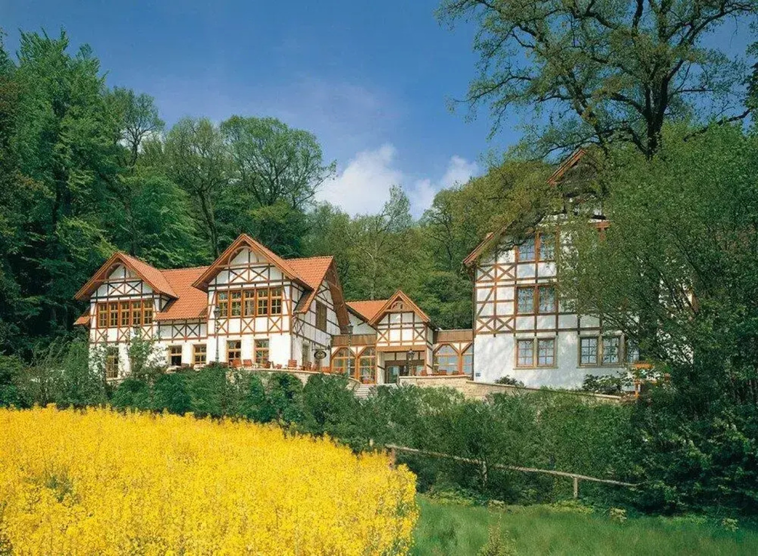 Ringhotel Der Waldkater