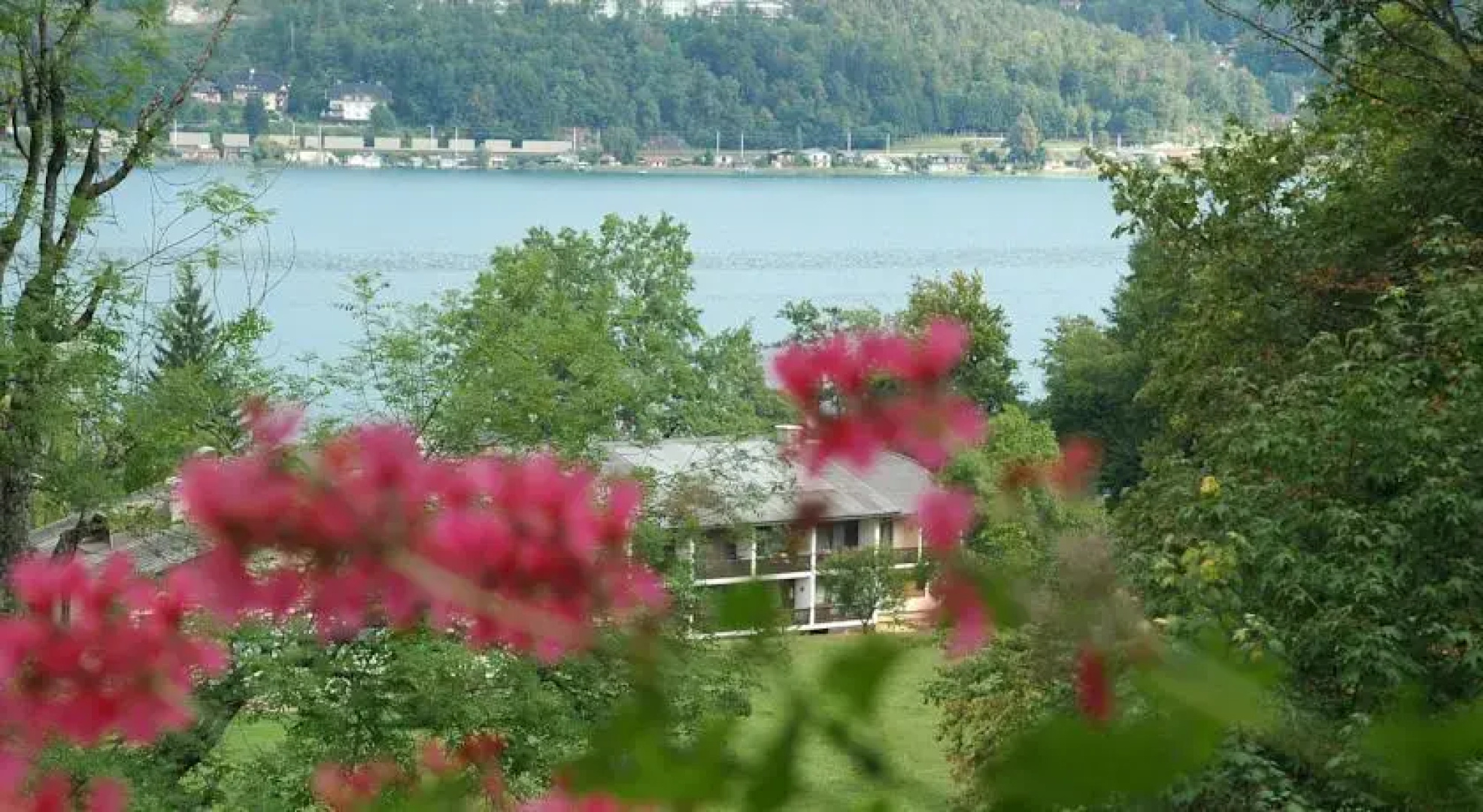 Appartement - Pension Adlerhorst