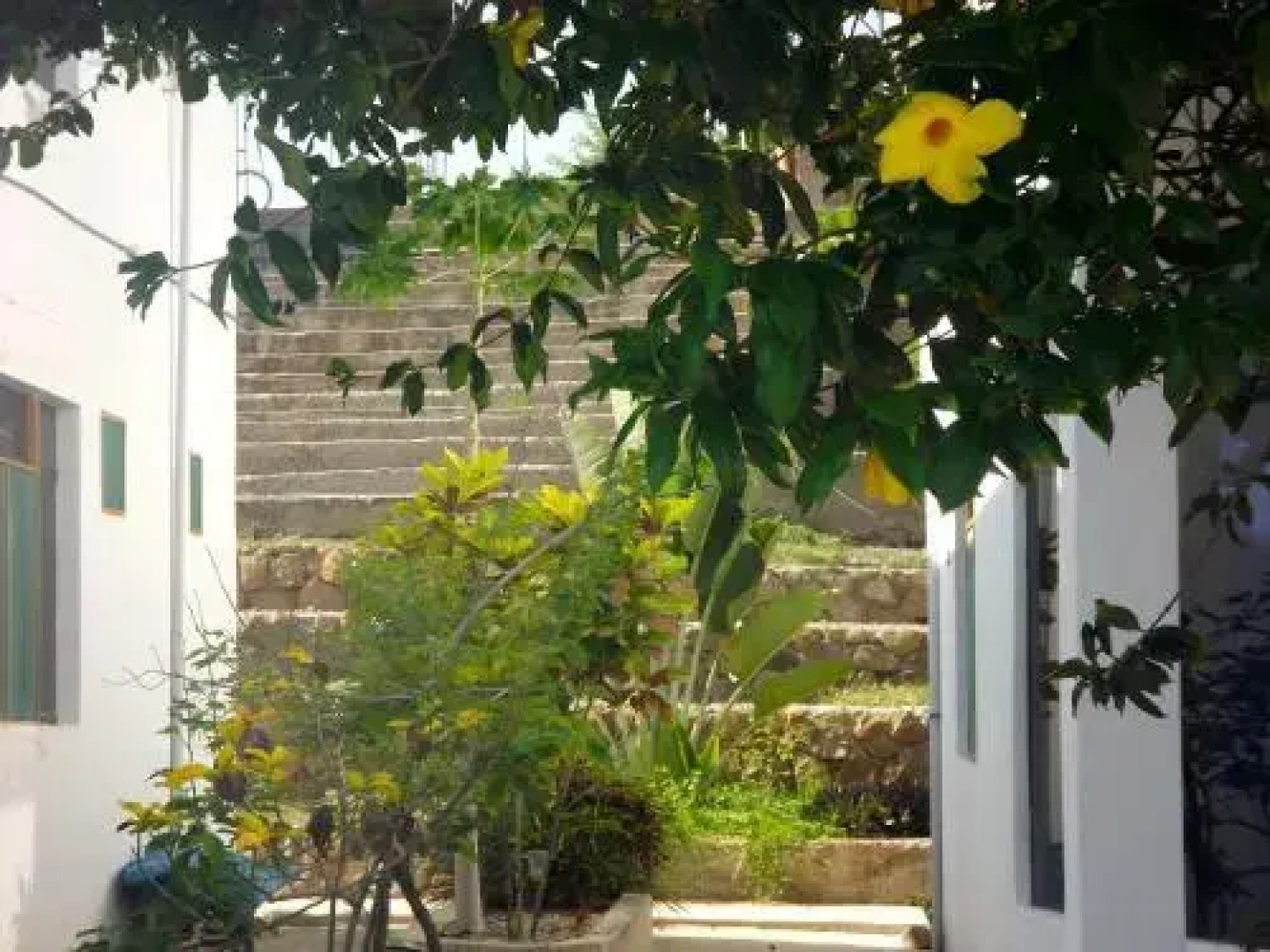 Punta Cocos Beach Suites