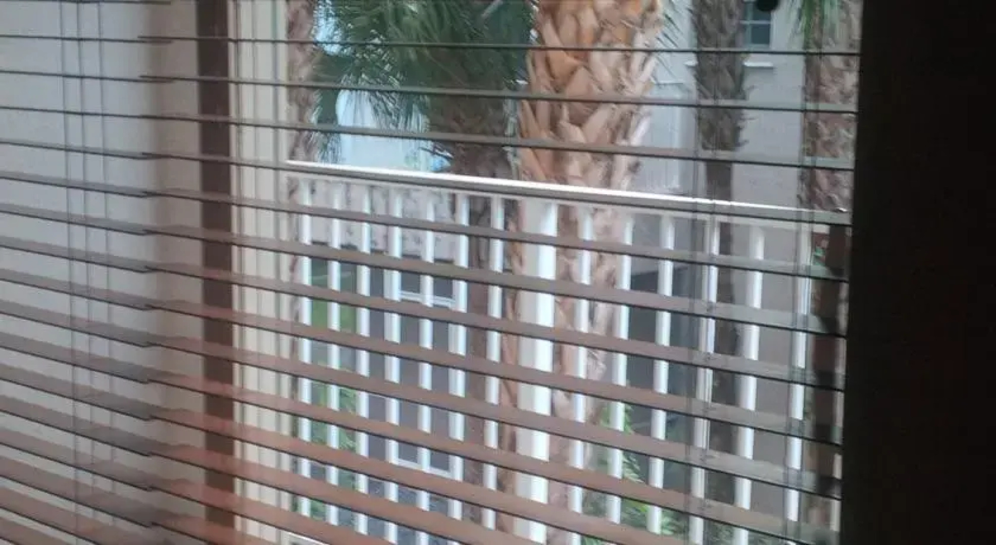 Doral Vacation 2 by Envisend