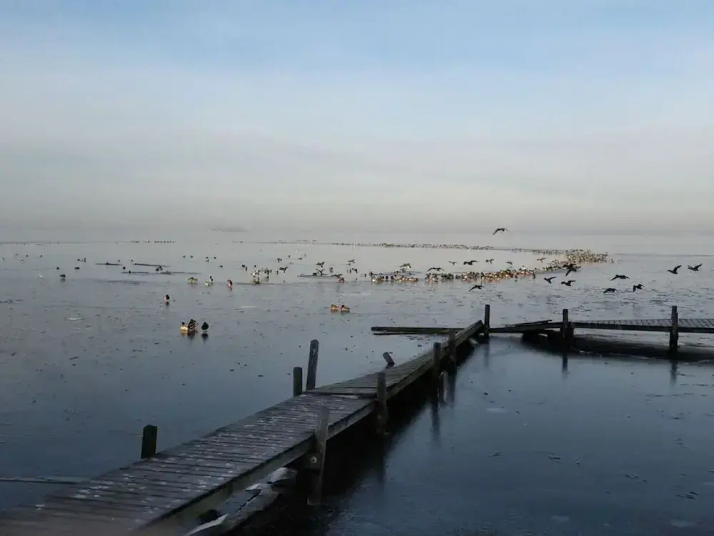 Dornbusch Apartment 1