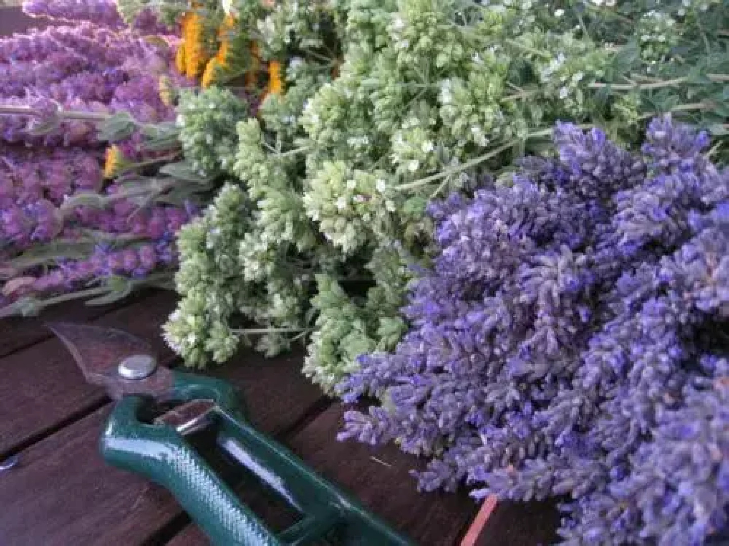 Quinta da Casa Velha Agroturismo