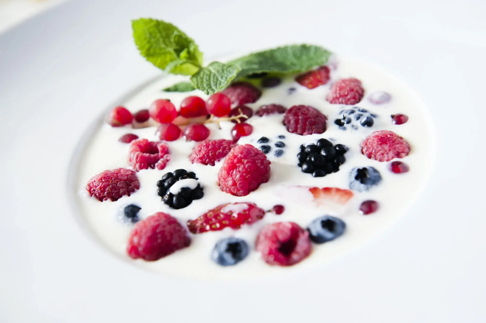 Borgo Scopeto Wine & Country Relais