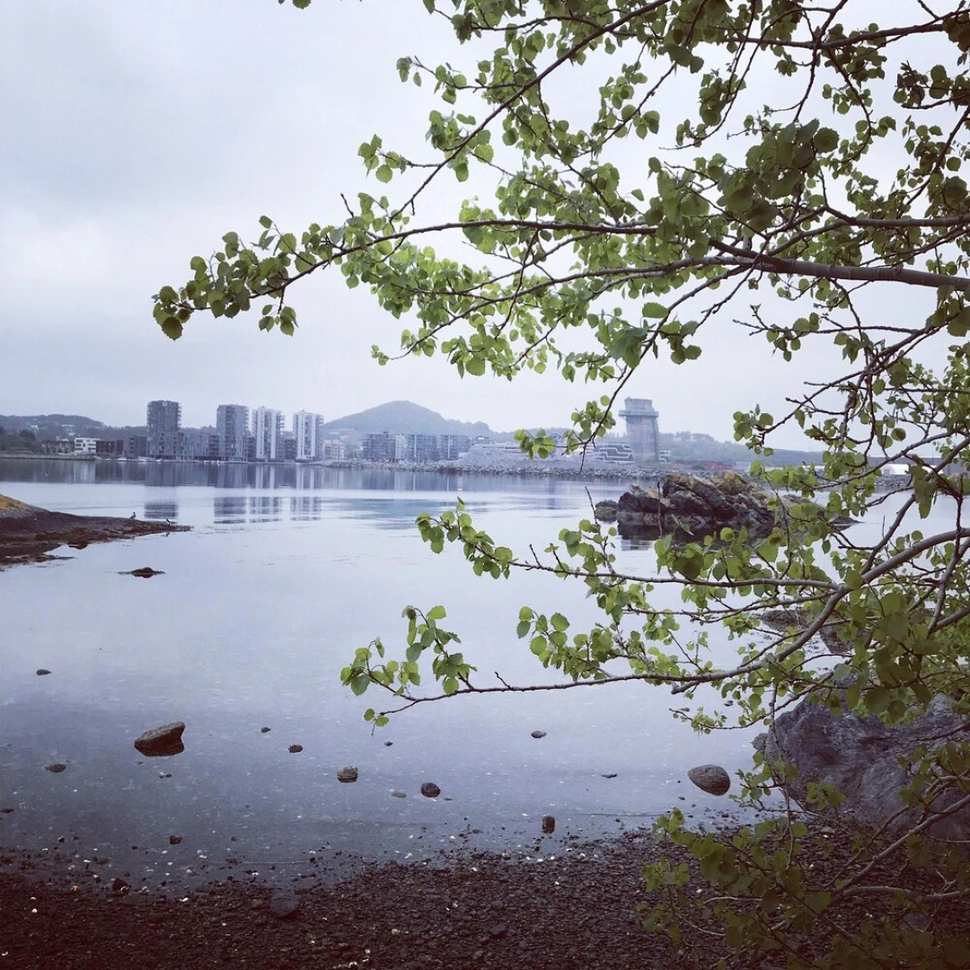 Historic Apartment with sauna