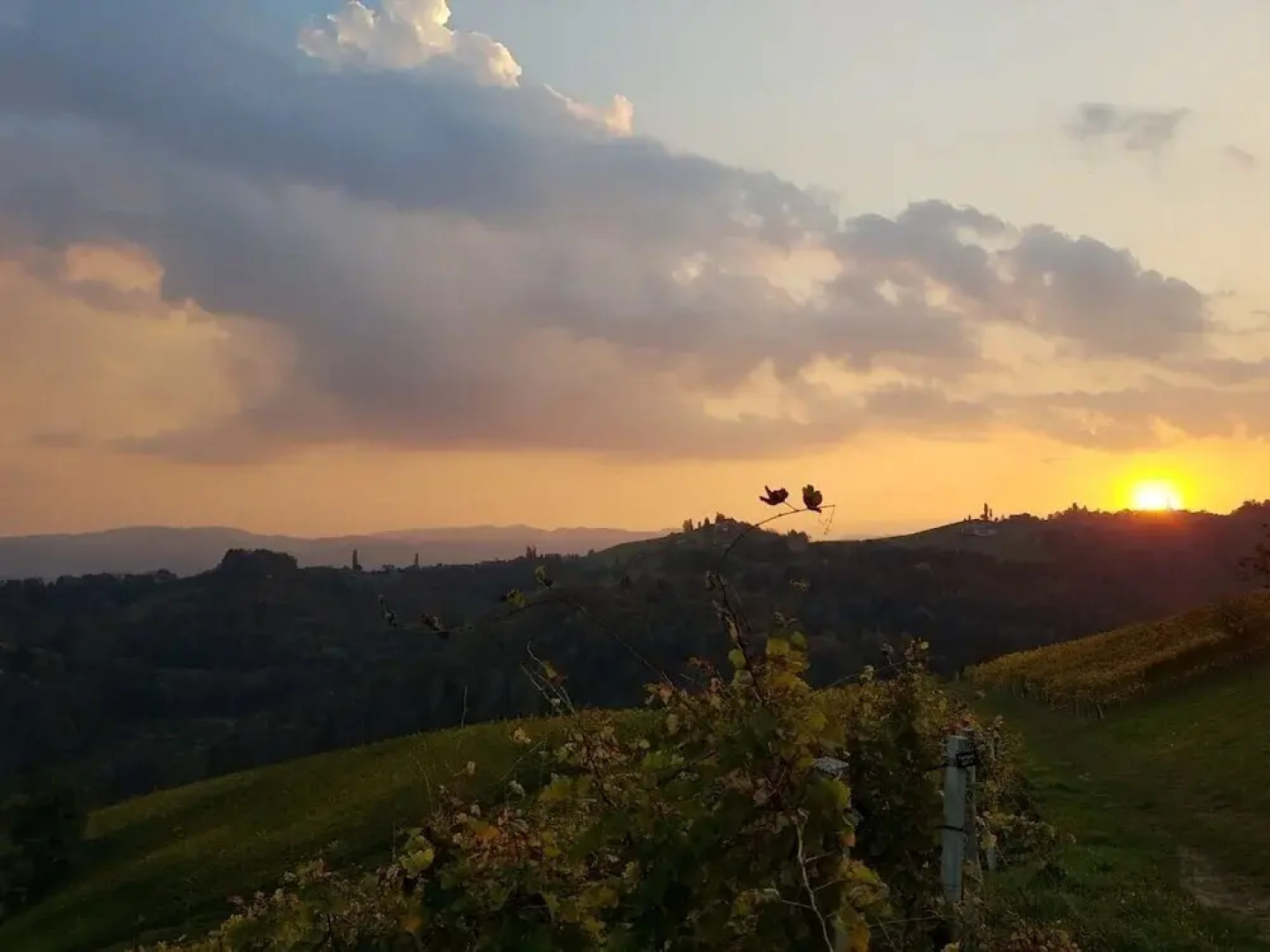 Hotel-Restaurant Staribacher