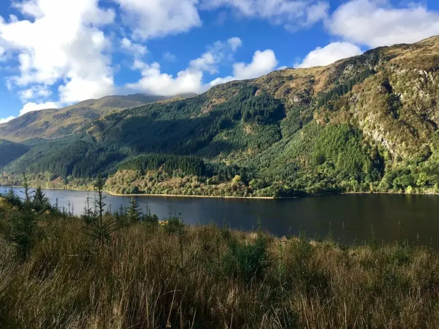 Rosebank House Bed & Breakfast