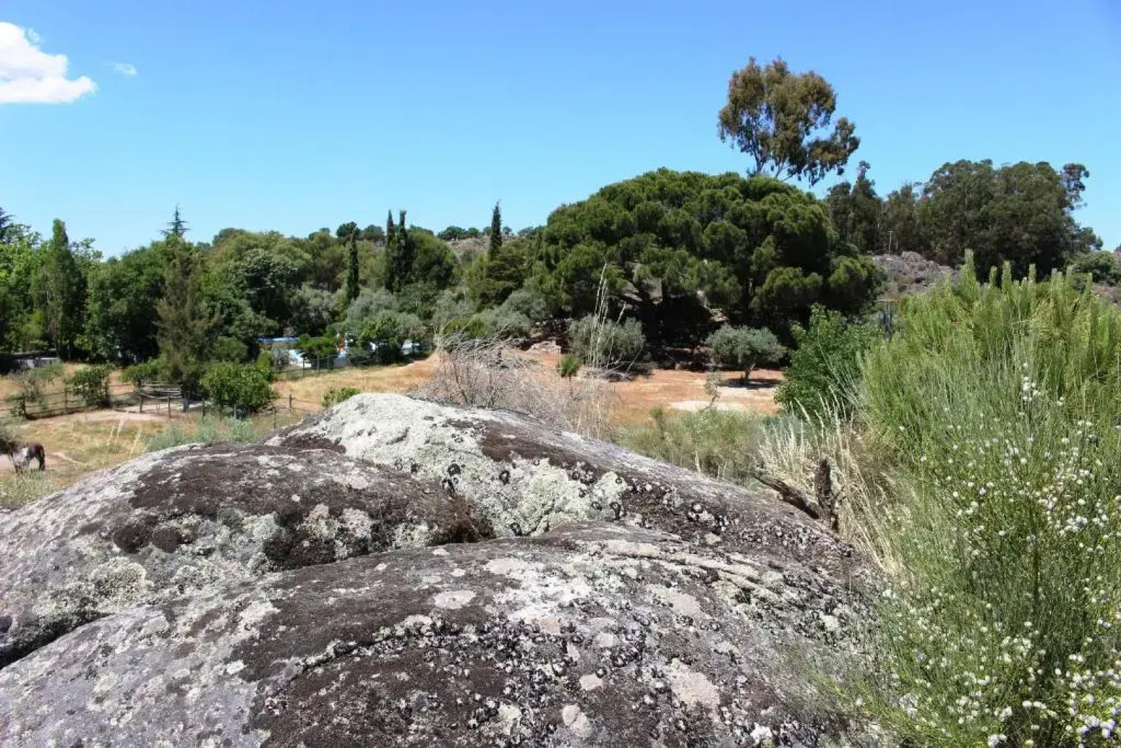 Tapada da Rabela -Turismo e Reserva Natural Privada