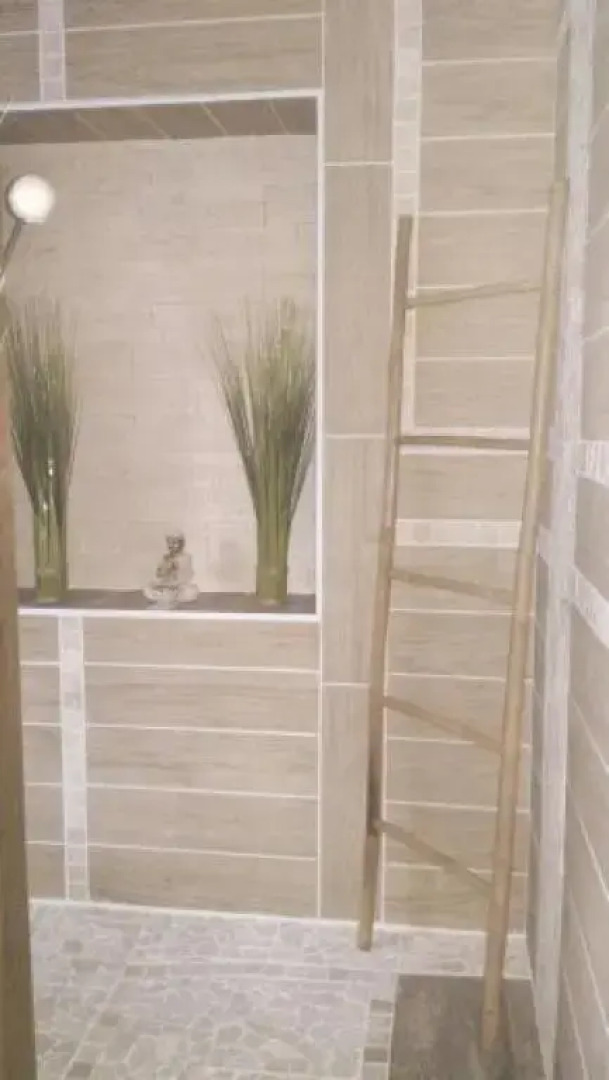 L'éclosion du Papillon