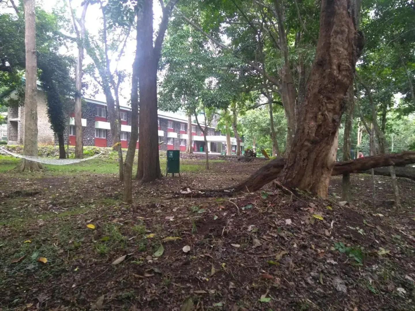 KTDC Periyar House Thekkady