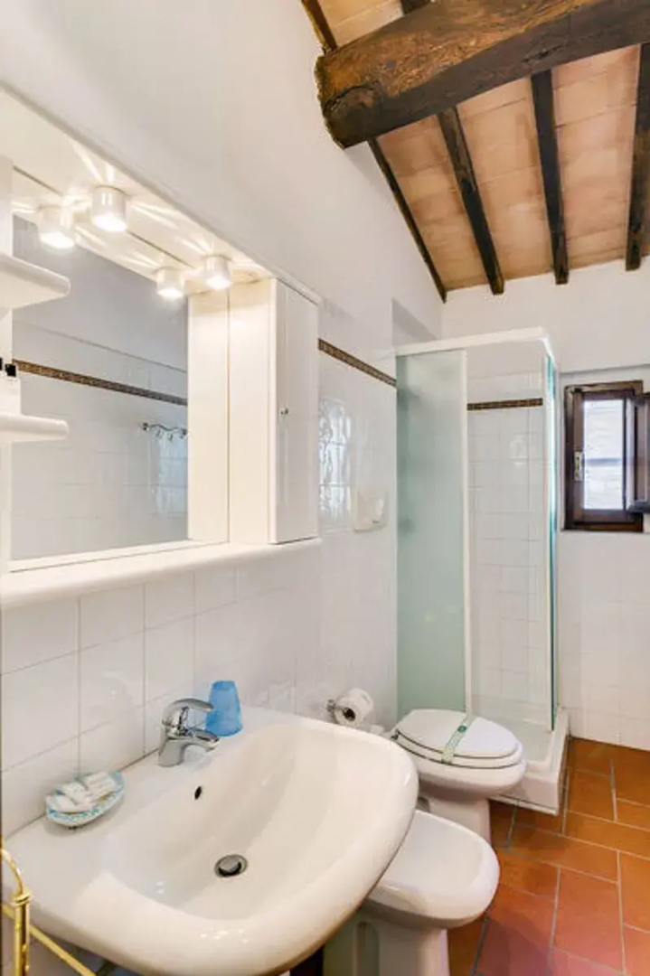 Antico Borgo S Lorenzoalbicocco (Col105)