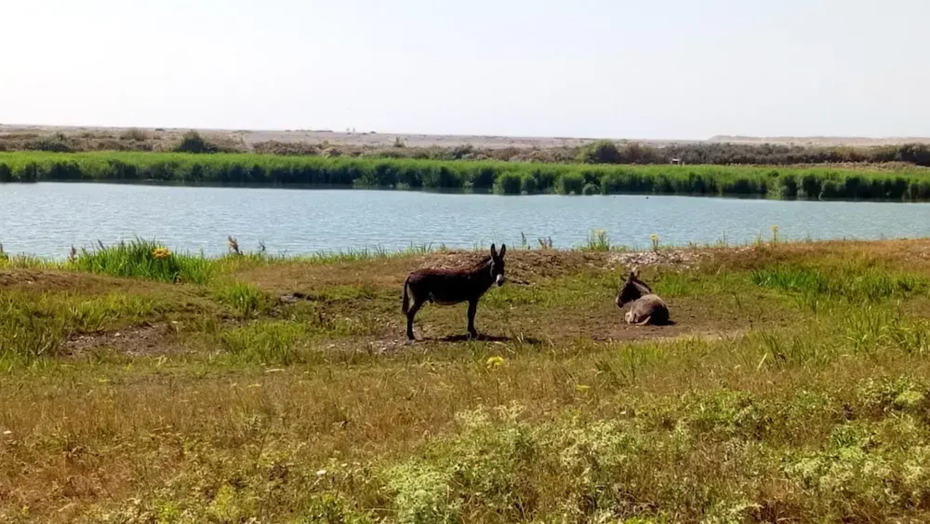 House With one Bedroom in Cayeux-sur-mer, With Enclosed Garden and Wifi