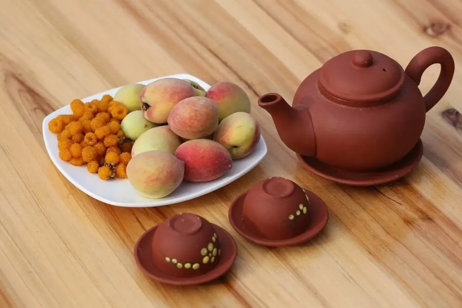 Bac Ha Eco Homestay - Hostel