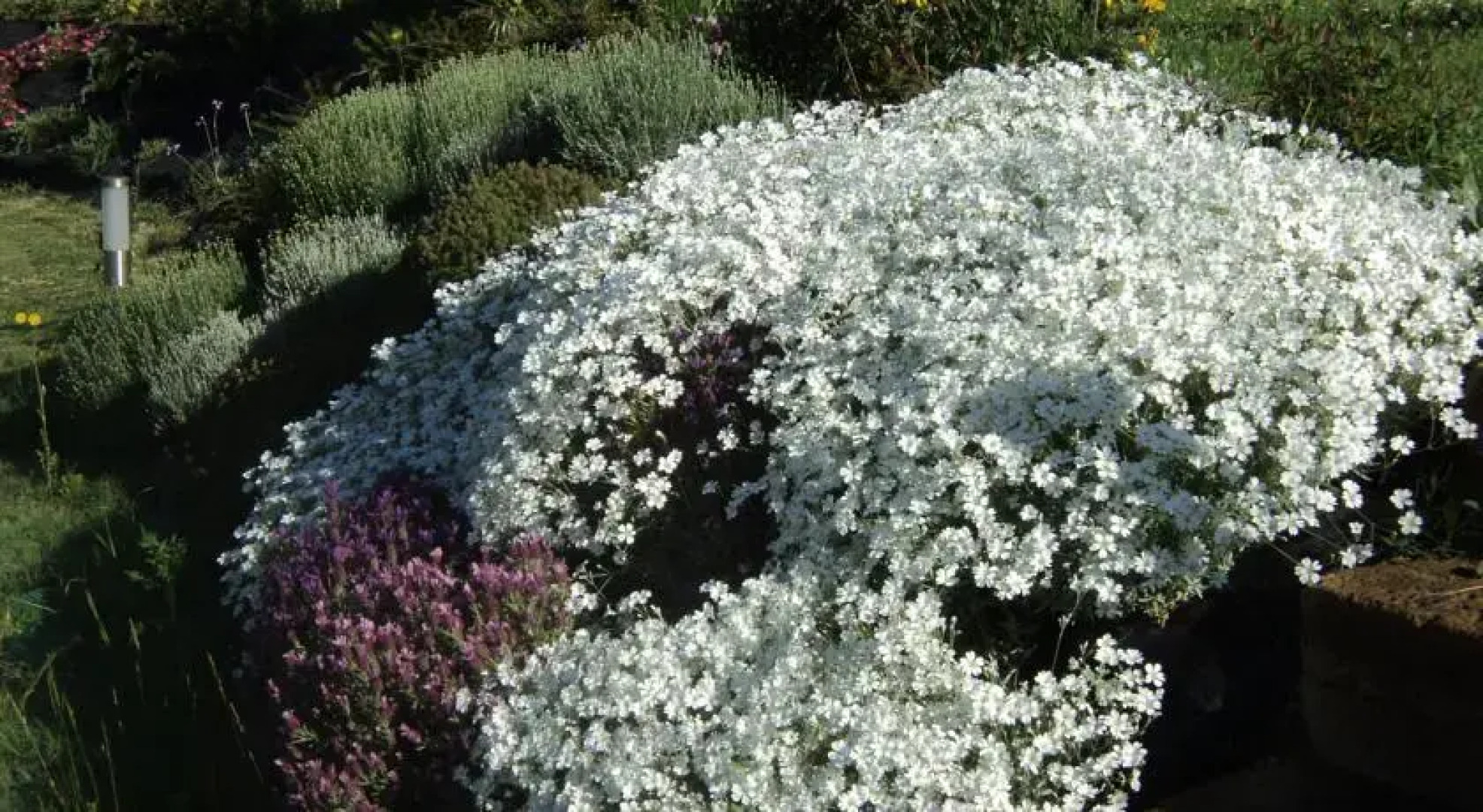 Casa Vacanze Al Mare a Pesaro