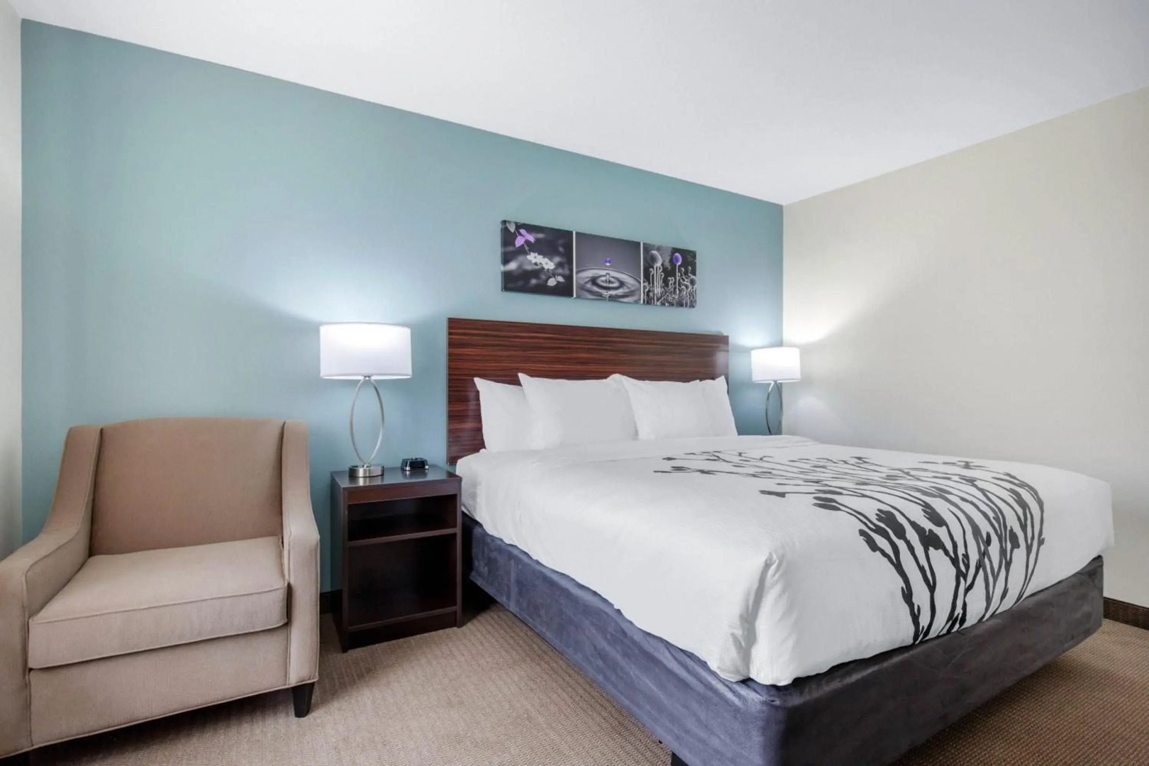 Sleep Inn & Suites South Jacksonville