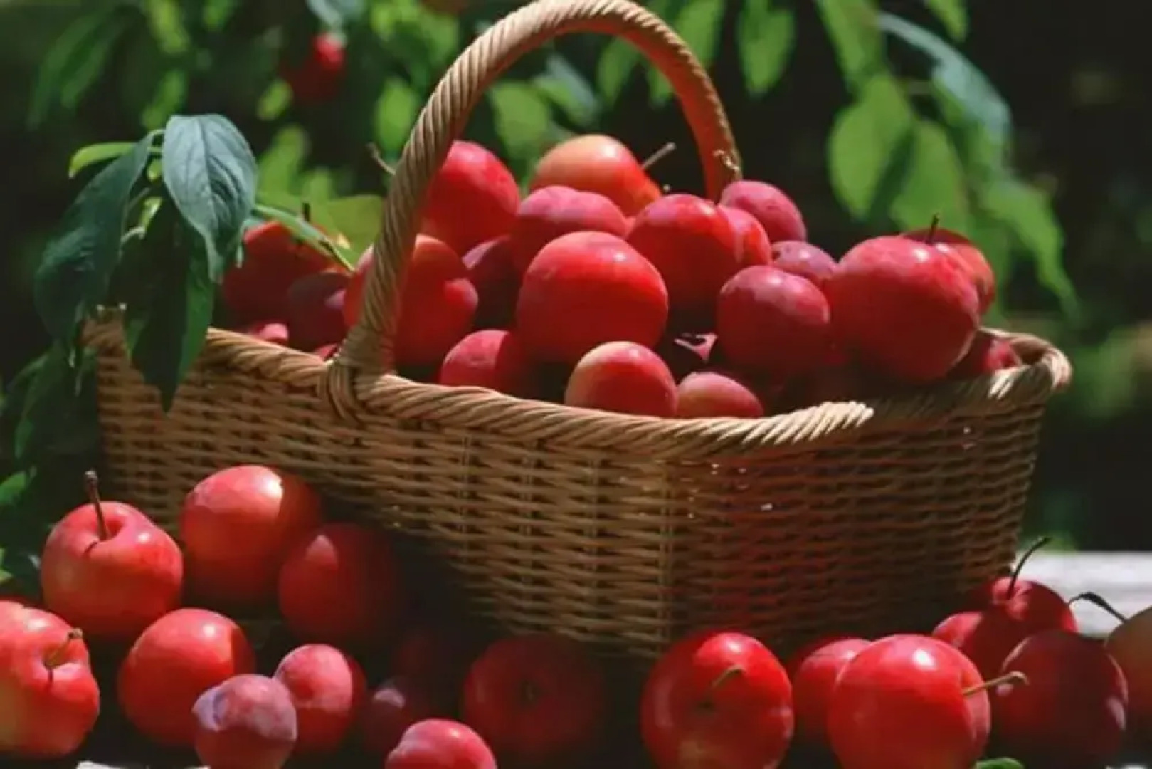 Beautiful and Large 3-bed Villa in Lapta, Cyprus