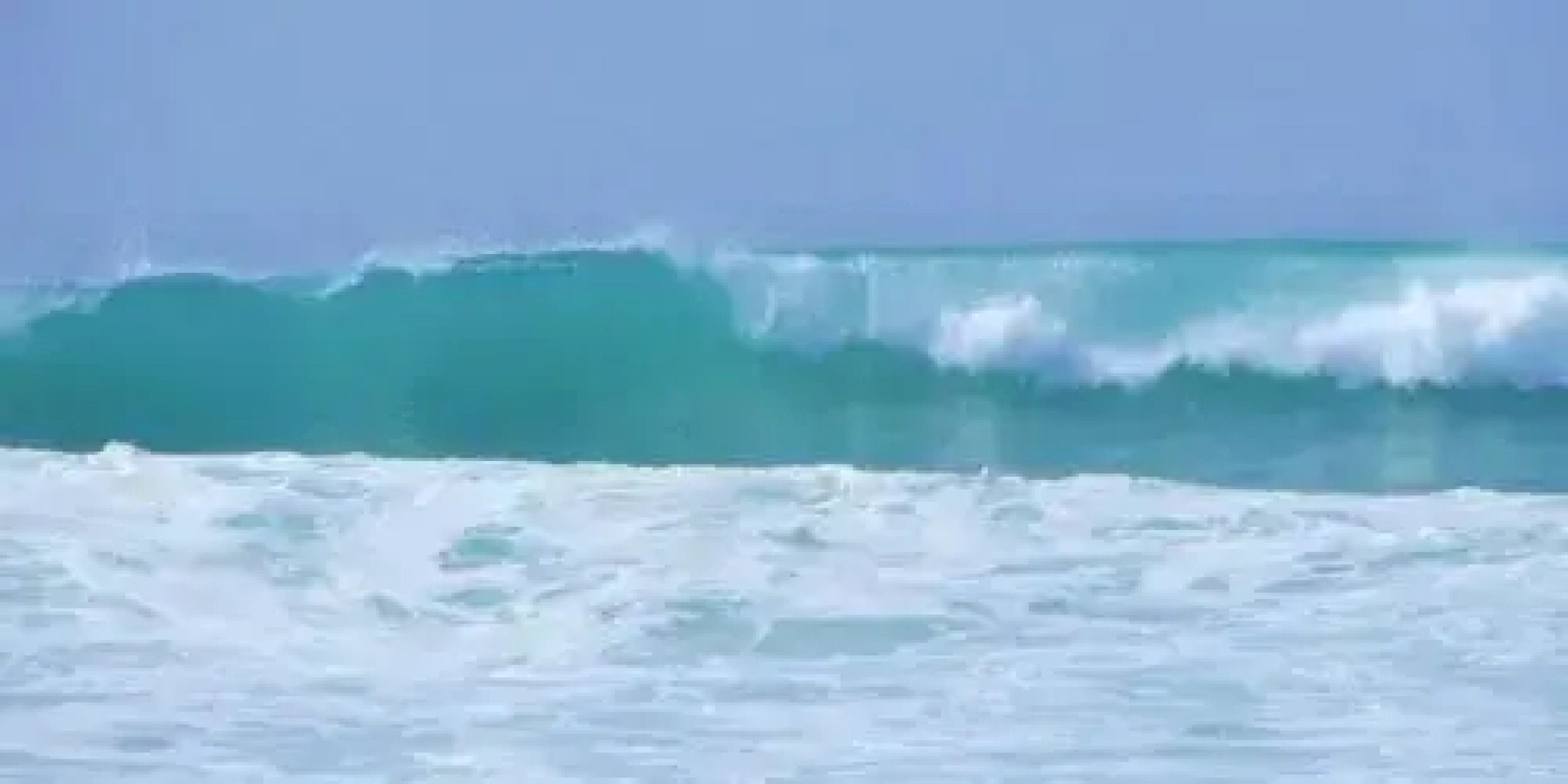 Bayview Seafood rest