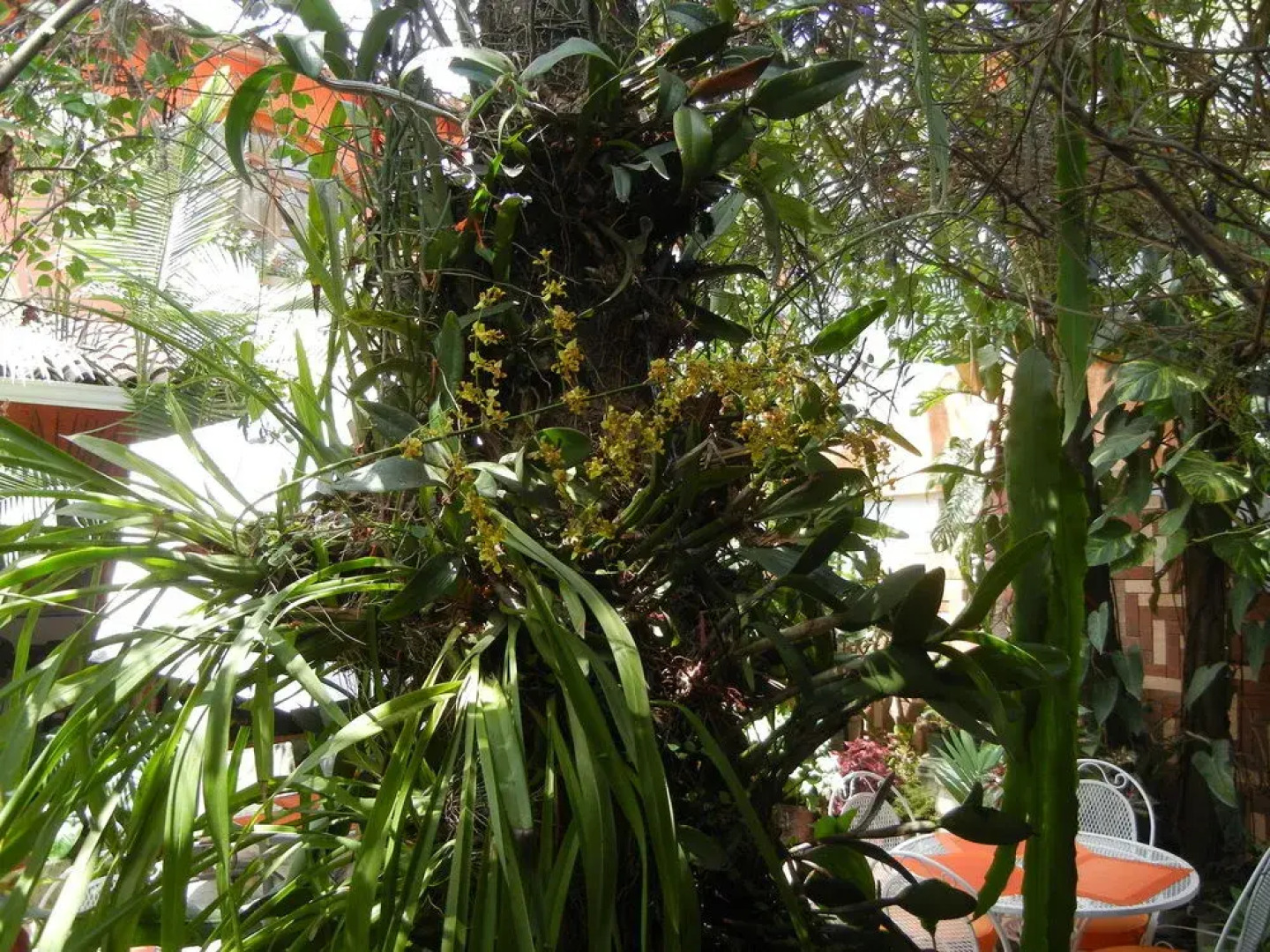 Hotel Boutique Casa Gabriela