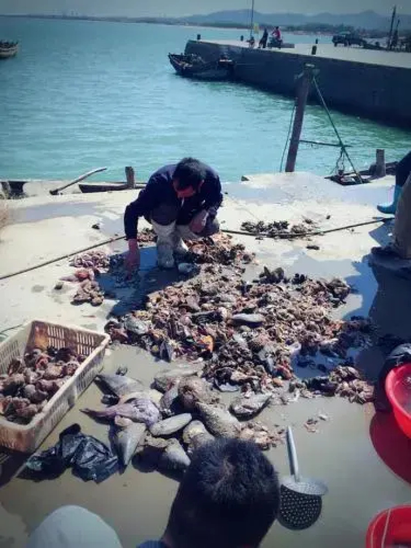 Rizhao Yiyu Fengshang Home Inn