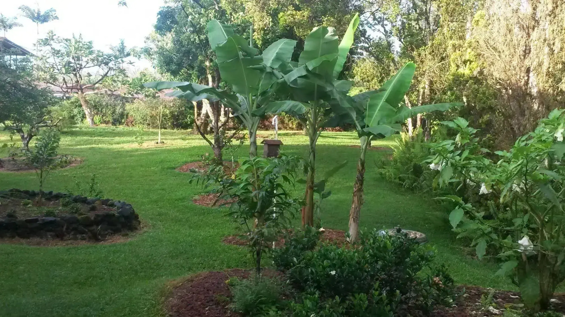 The Kimos' Ohanas B&B