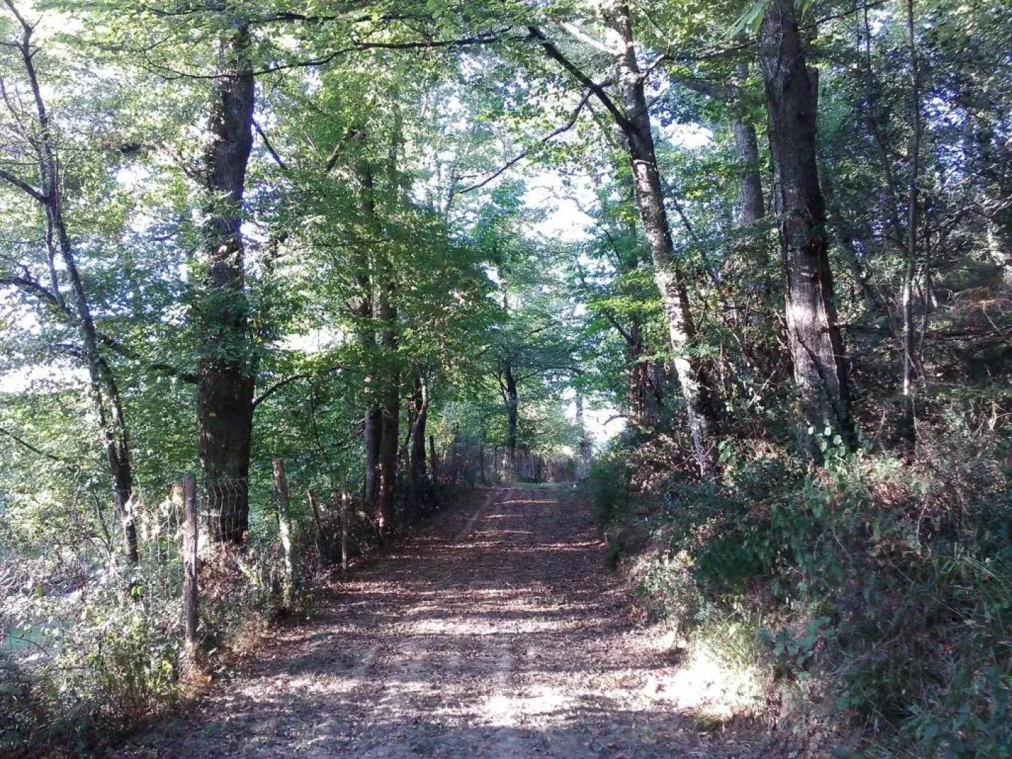 Les Gites de Castera