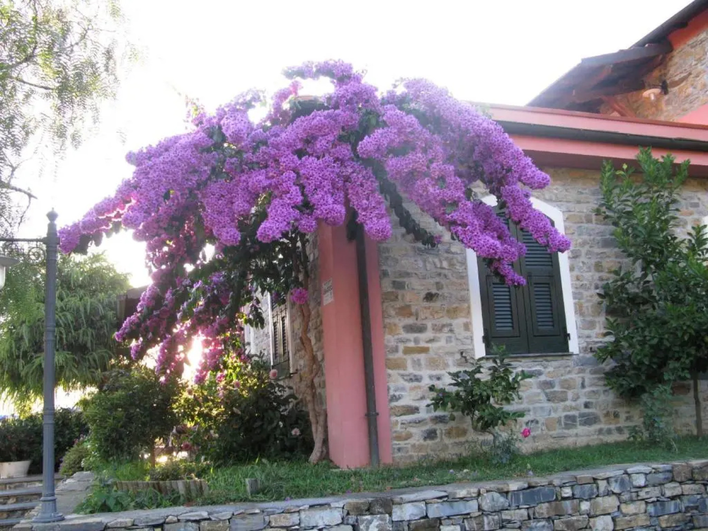 Agriturismo La Vigna