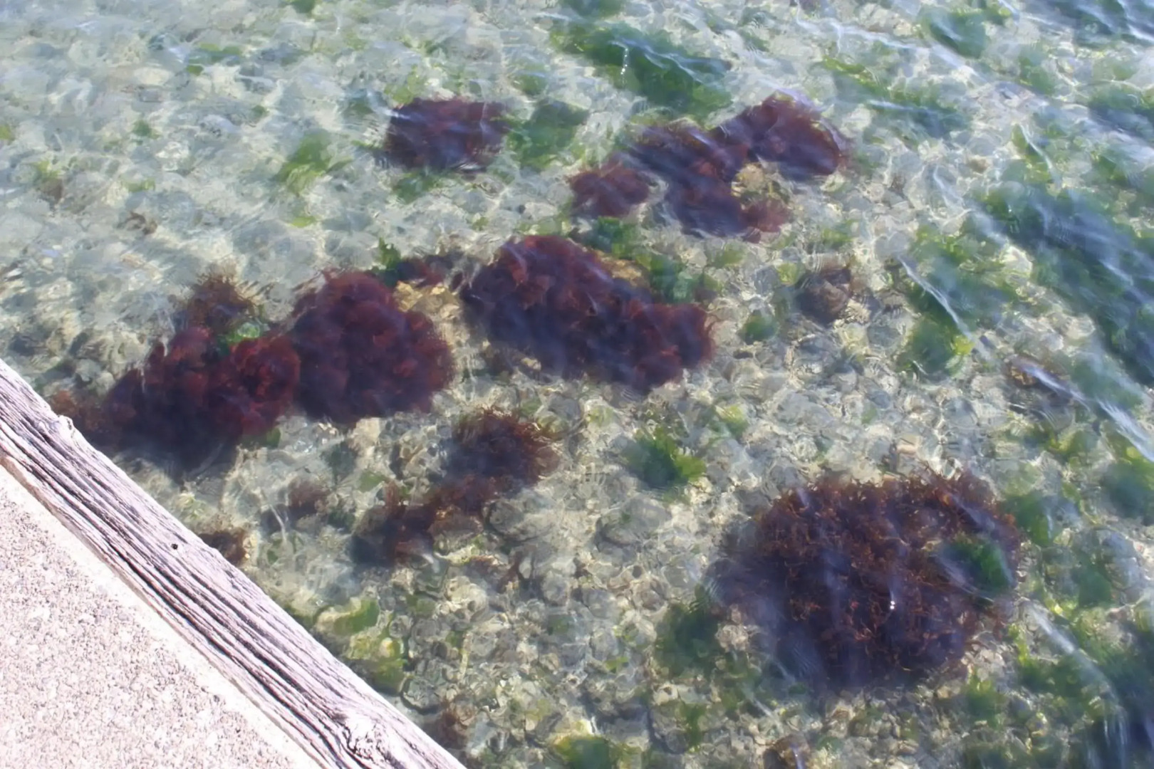 Hotel Green Plaza Hamanako