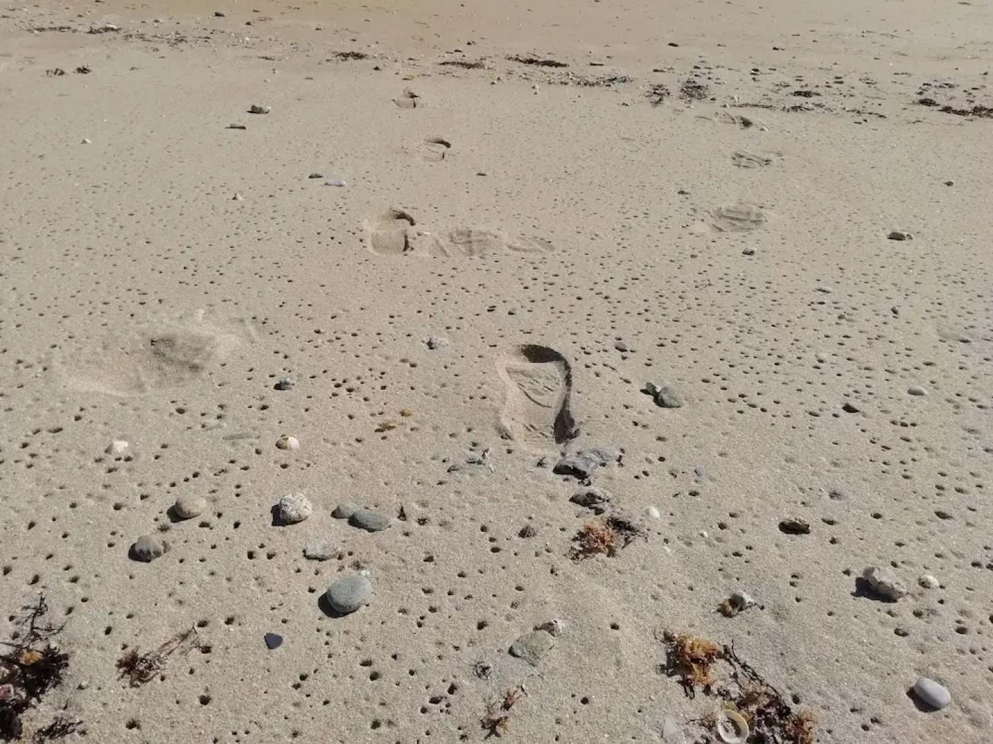 Les Roches Du Cabellou 150 m De La Mer