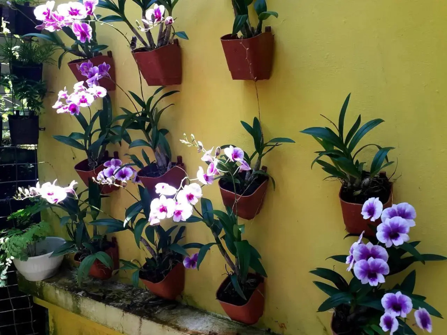 Vivaresidence Homestay