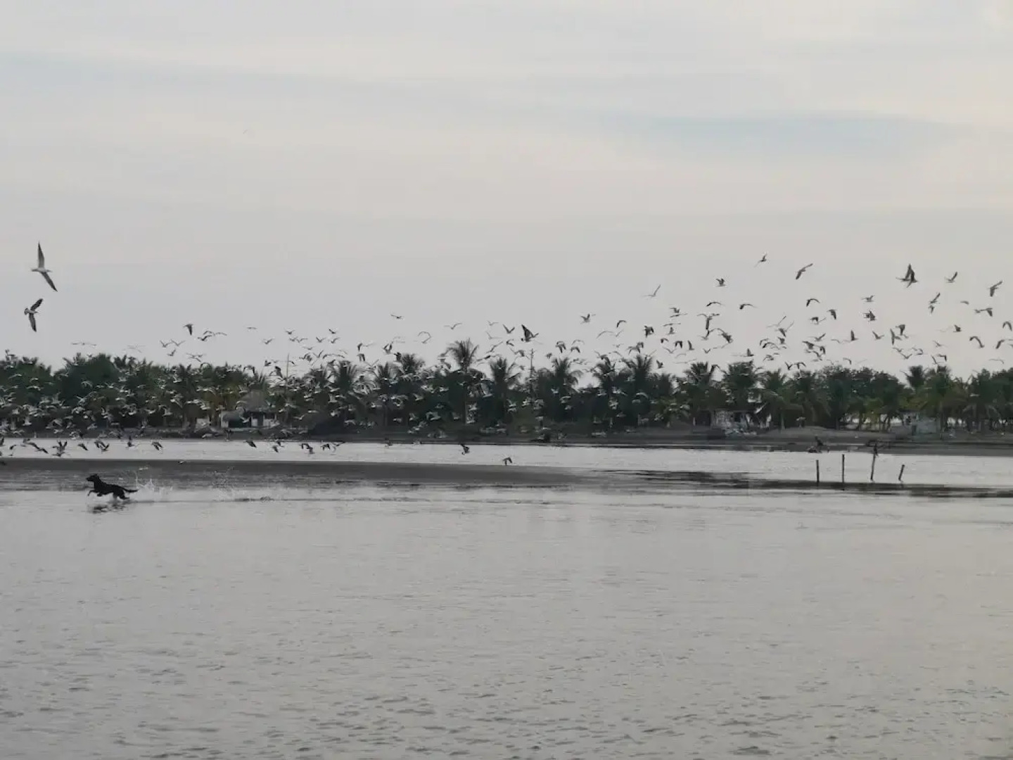 Cabañas Casa de Agua