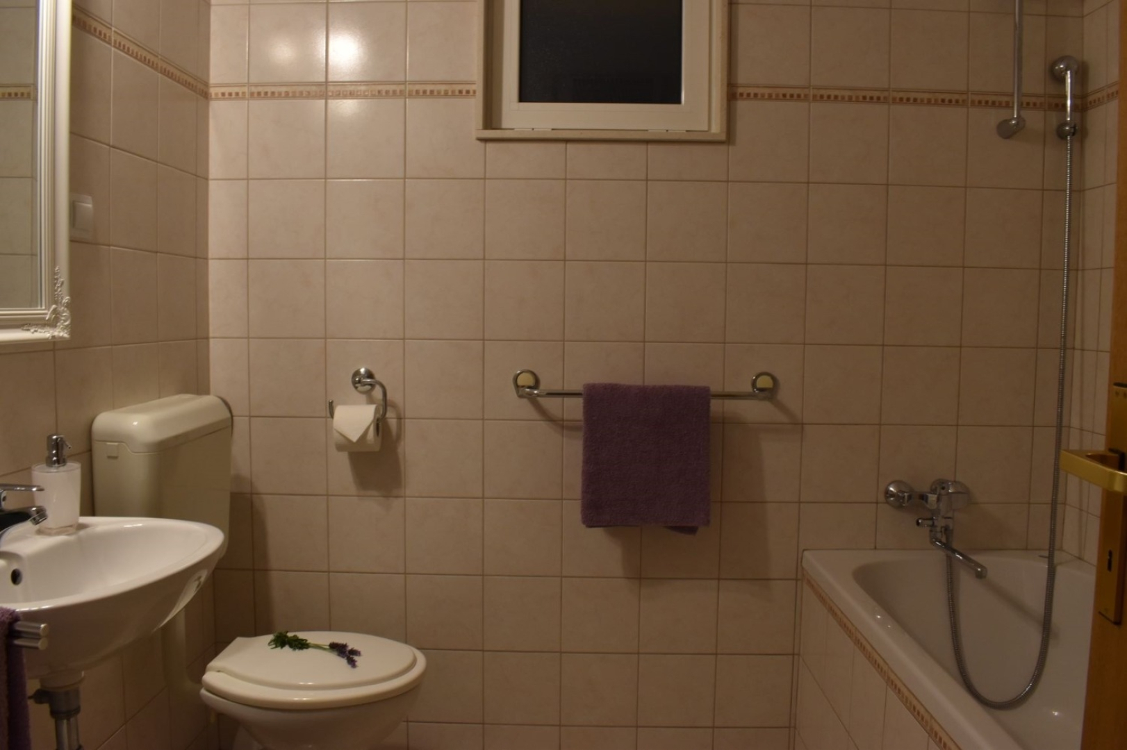 Apartment Frama - 3 apartments: A3 Lavanda  Bol, Island Brac