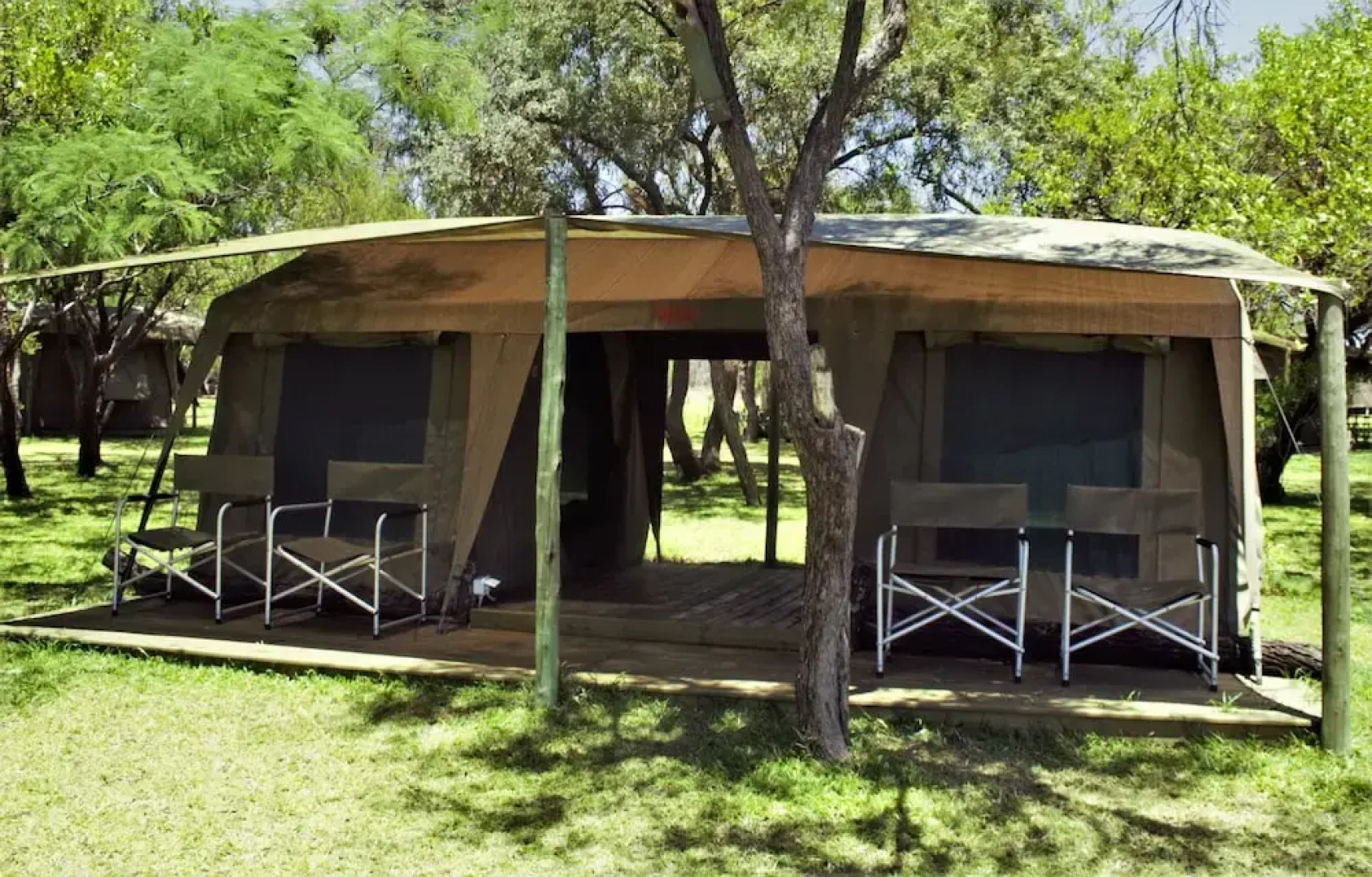 Thorn Tree Bush Camp