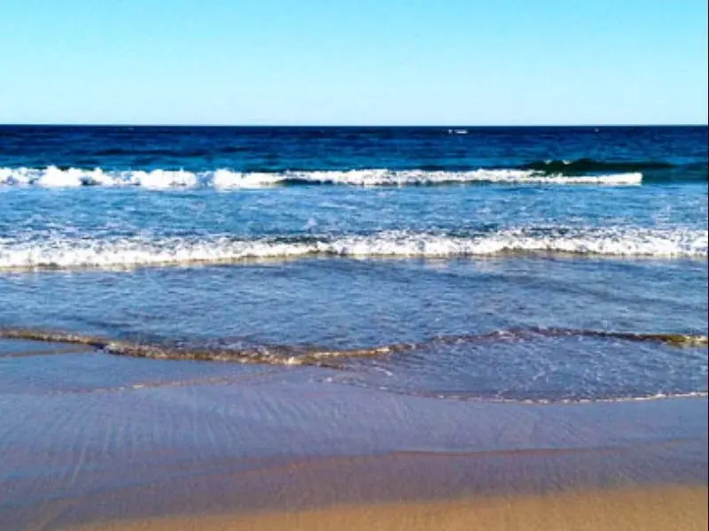 Harmony at Tower Hill Apartment